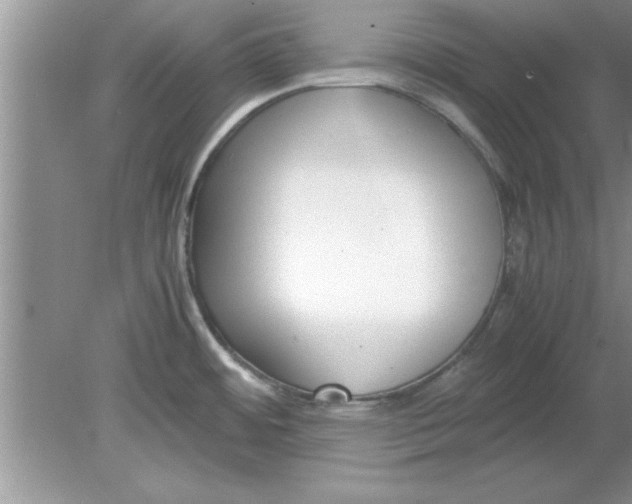 X0000078881484200612042011