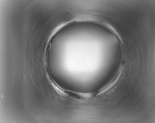 X0000078881485200612042011