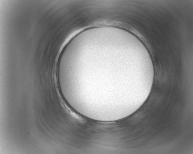 X0000078881486200612042011