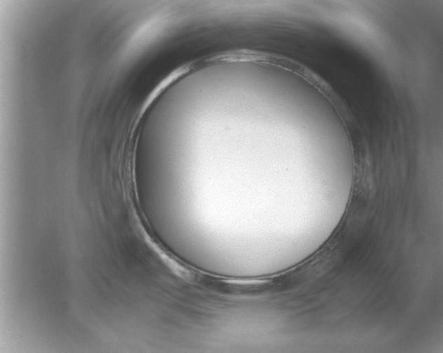 X0000078881487200612042011