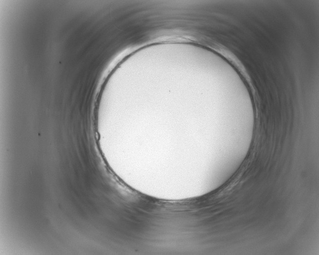 X0000078881488200612042011