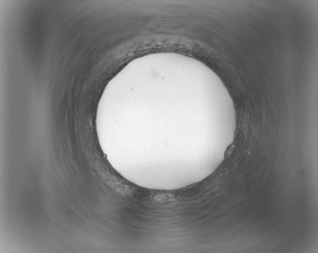 X0000078881489200612042010