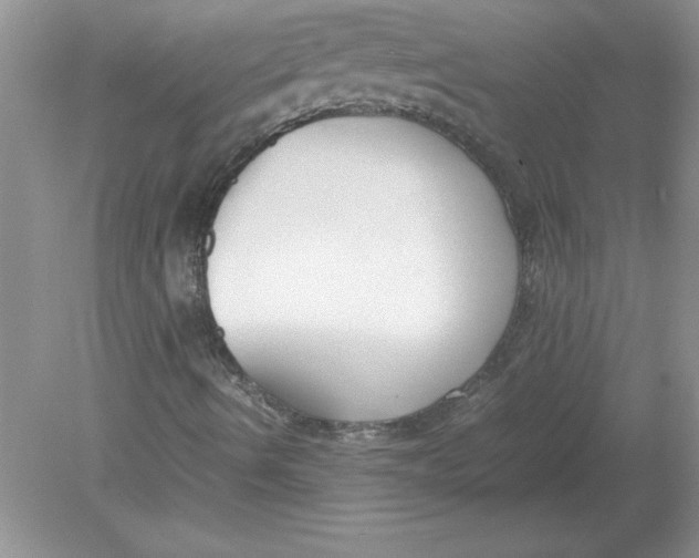 X0000078881490200612042010