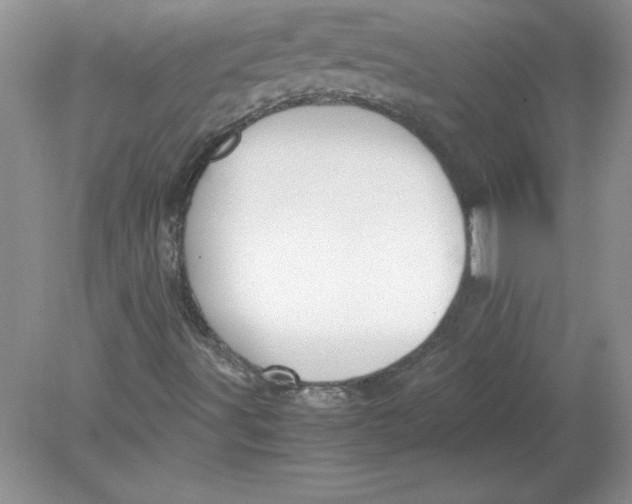 X0000078881491200612042010