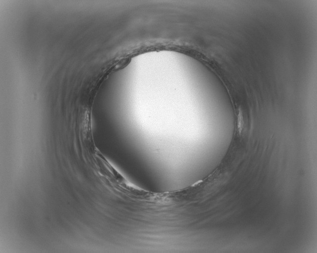 X0000078881492200612042010