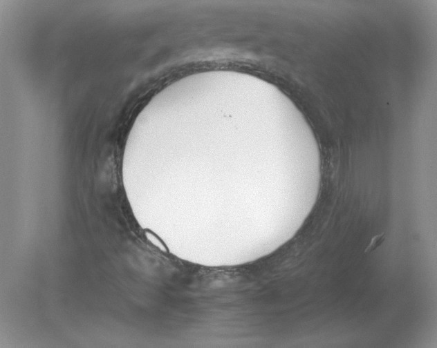 X0000078881493200612042010