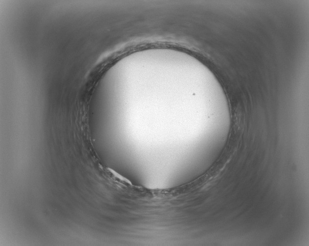 X0000078881494200612042010