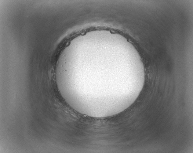 X0000078881495200612042010