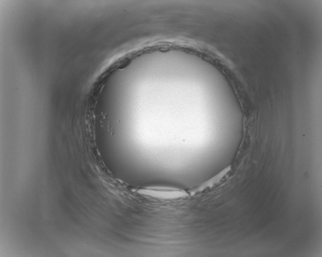 X0000078881496200612042010