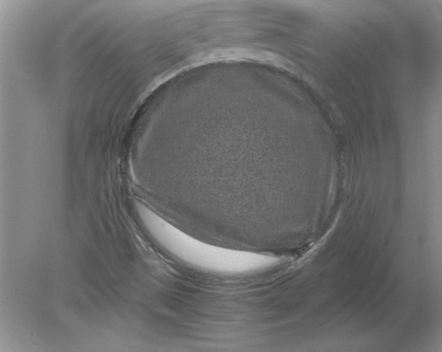 X0000078881497200612042010