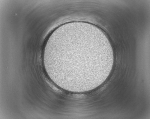 X0000078881498200612042010