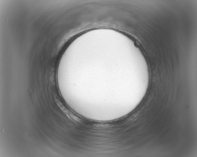 X0000078881499200612042010