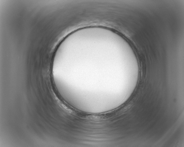 X0000078881500200612042010