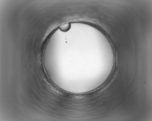 X0000078881501200612042010