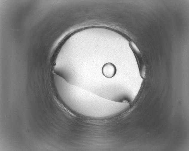 X0000078881502200612042010