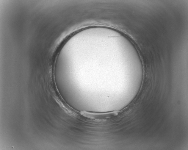 X0000078881503200612042010