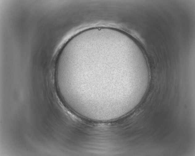 X0000078881504200612042010