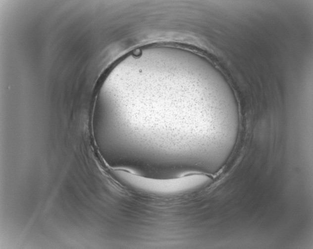 X0000078881505200612042010