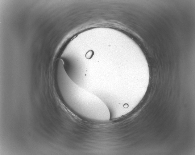 X0000078881506200612042010