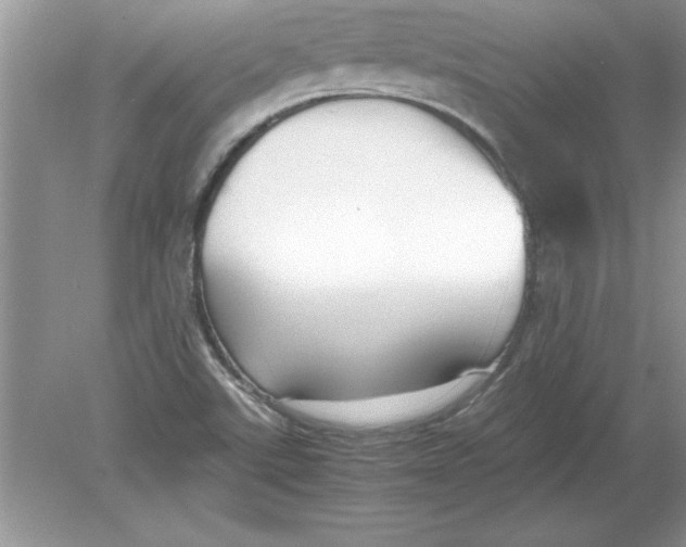 X0000078881507200612042010