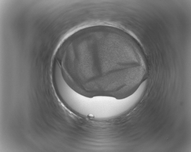 X0000078881508200612042010