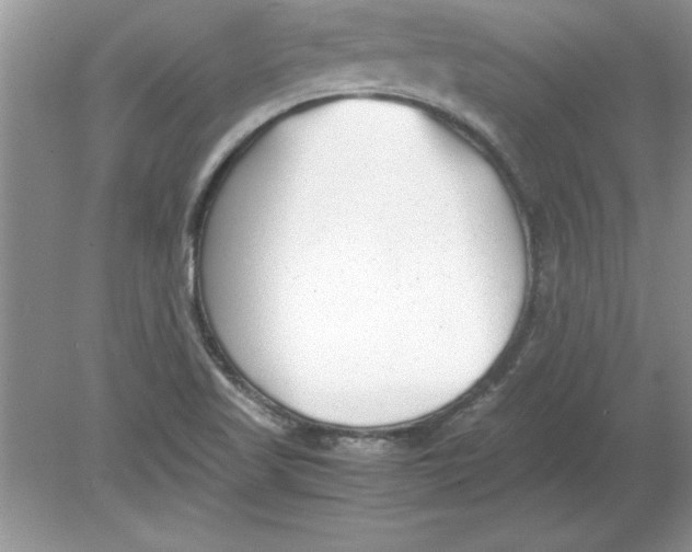 X0000078881509200612042010