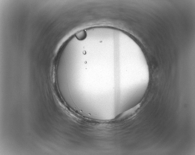 X0000078881510200612042010