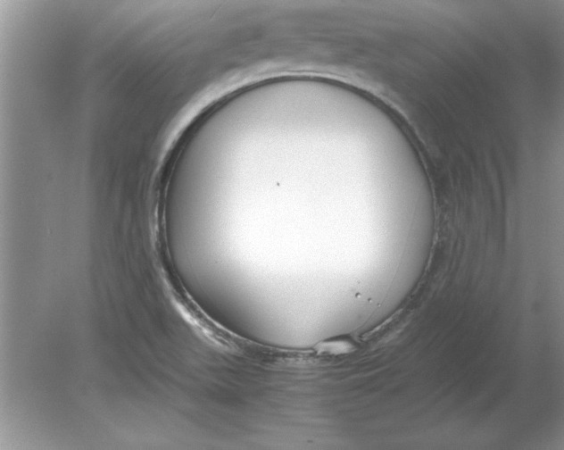 X0000078881511200612042011