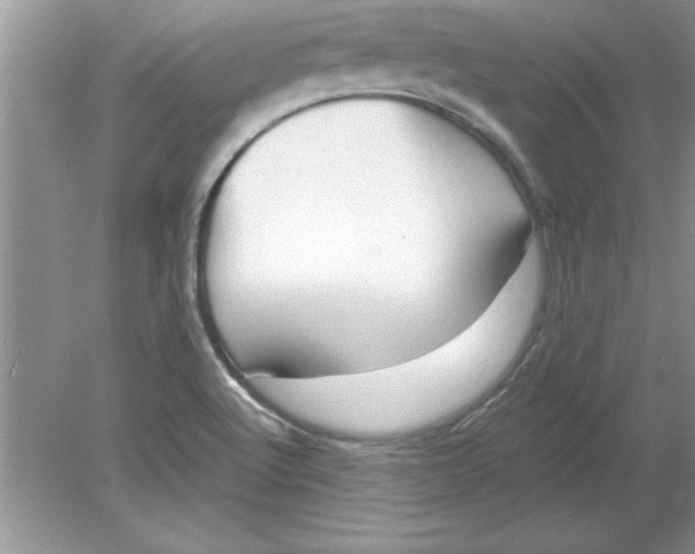 X0000078881512200612042011