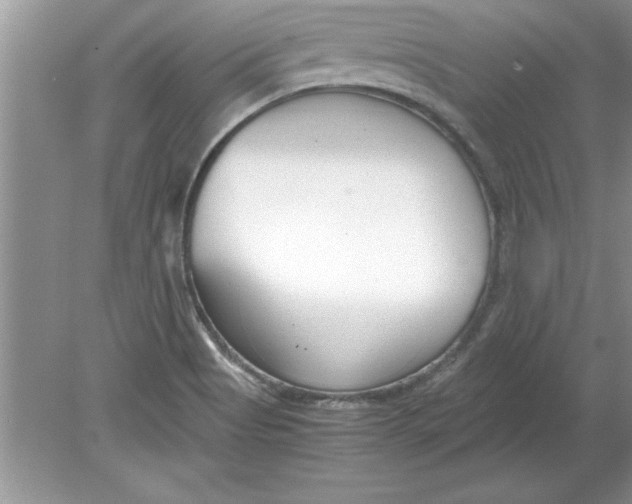 X0000078881513200612042011