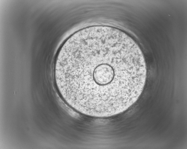 X0000078881514200612042011