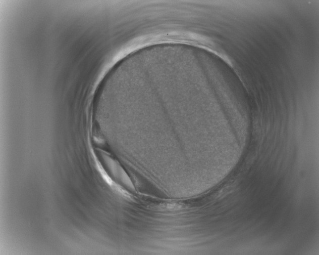 X0000078881515200612042011