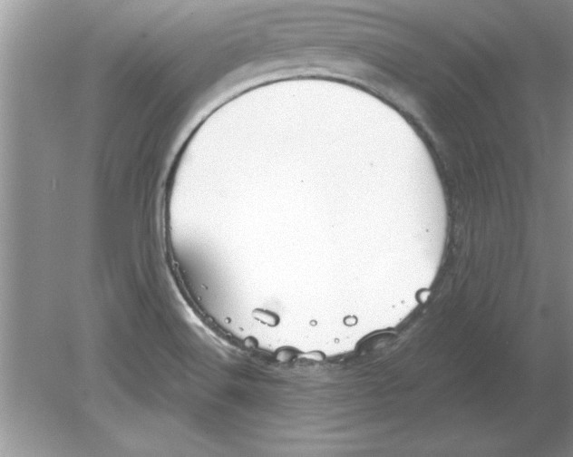 X0000078881516200612042011