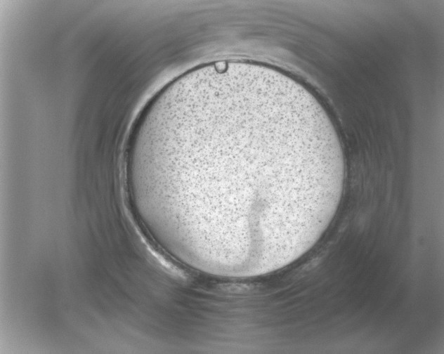 X0000078881517200612042011