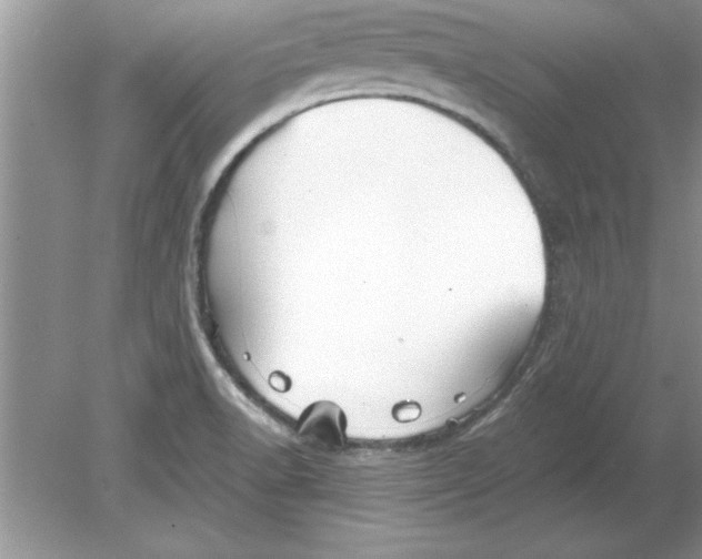 X0000078881518200612042011