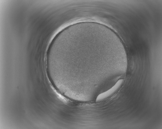 X0000078881519200612042011