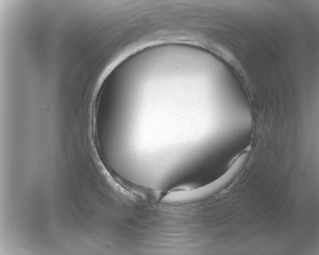 X0000078881520200612042011