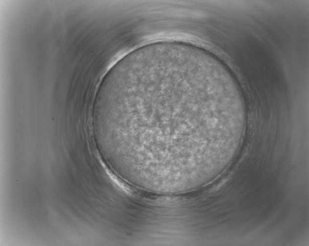 X0000078881521200612042011