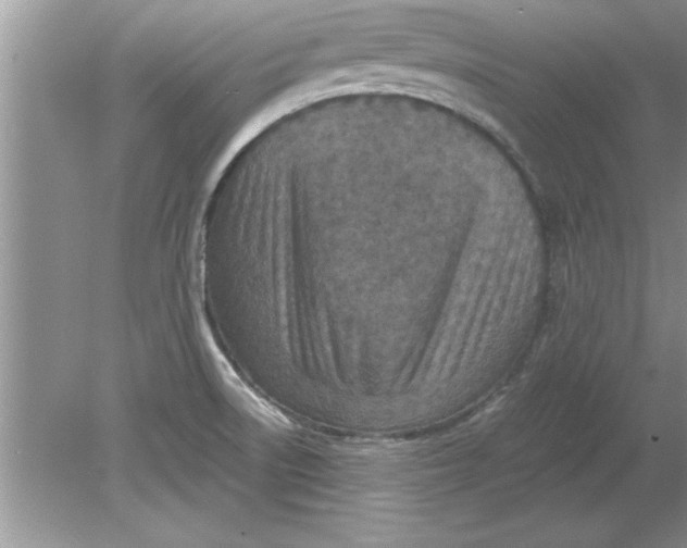 X0000078881522200612042011