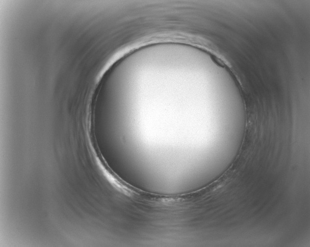 X0000078881523200612042011