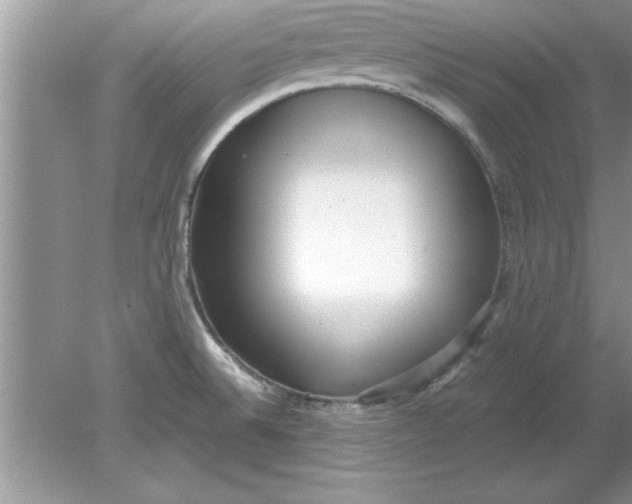 X0000078881524200612042011