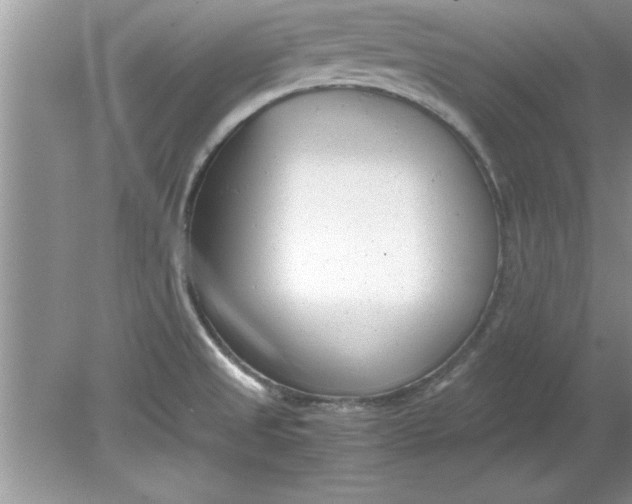 X0000078881525200612042011