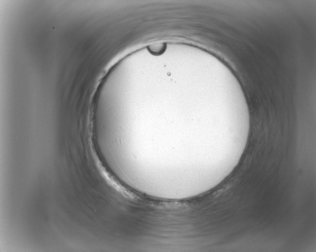 X0000078881526200612042011