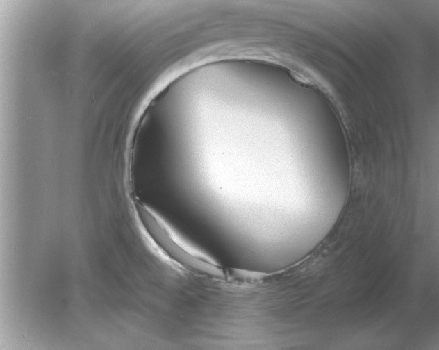 X0000078881528200612042011