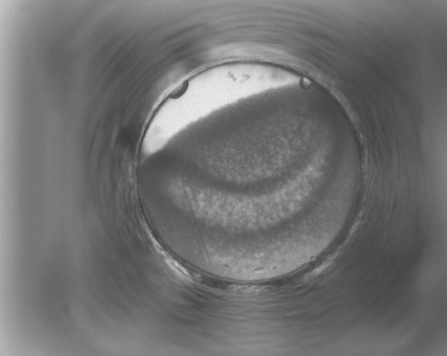 X0000078881529200612042011