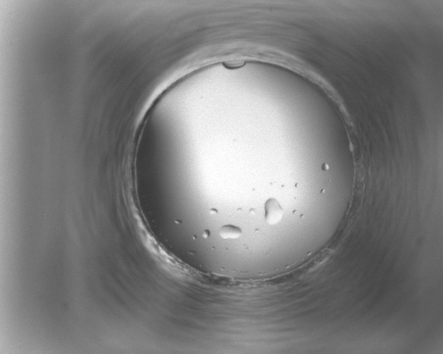 X0000078881530200612042011