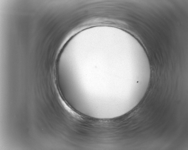 X0000078881531200612042011