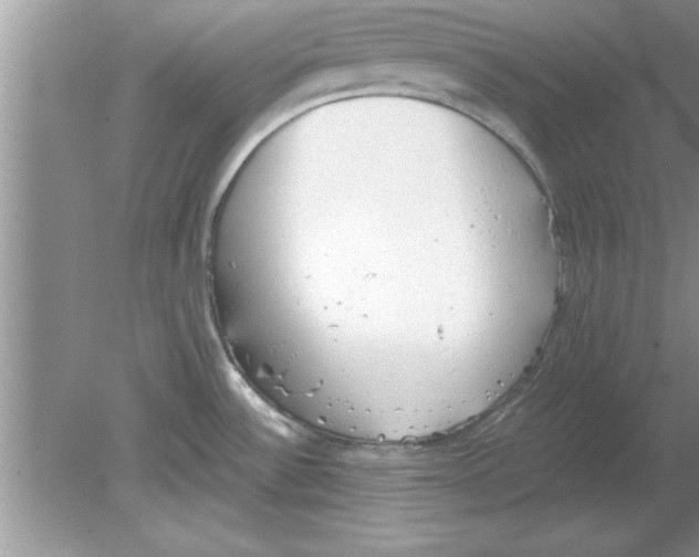 X0000078881532200612042011