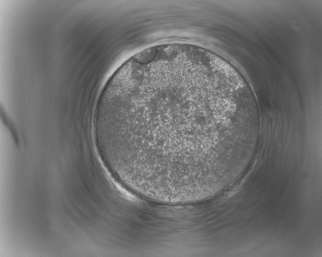 X0000078881533200612042011