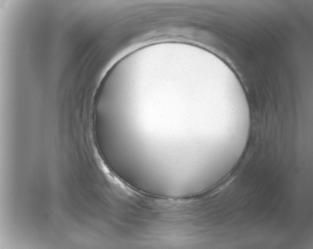 X0000078881534200612042011